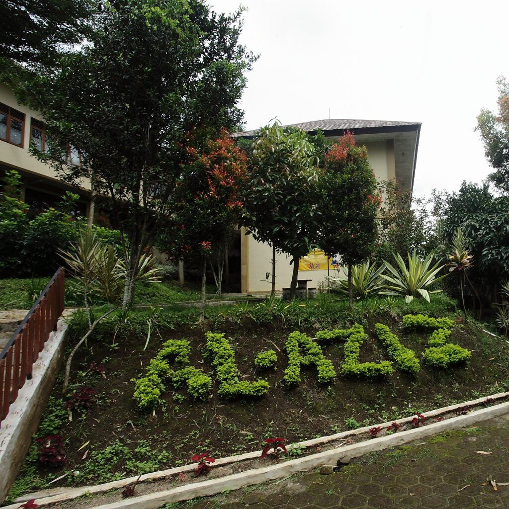Taman